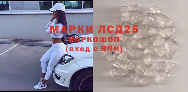 стаф Алексин