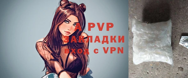 стаф Алексин