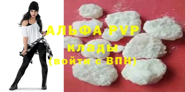 стаф Алексин