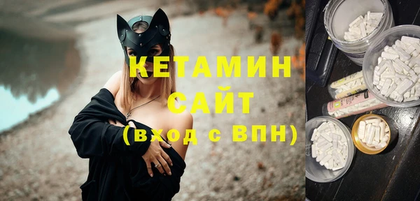 стаф Алексин