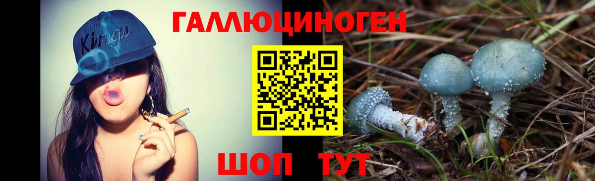 Люберцы  где можно купить   Псилоцибиновые грибы Psilocybe  Вход с VPN  Галлюциногенные грибы Psilocybe 